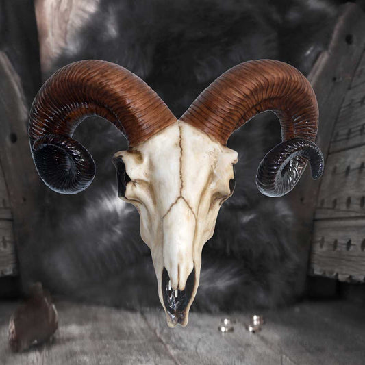 Realistic Wall Mounted Rams Skull 33cm