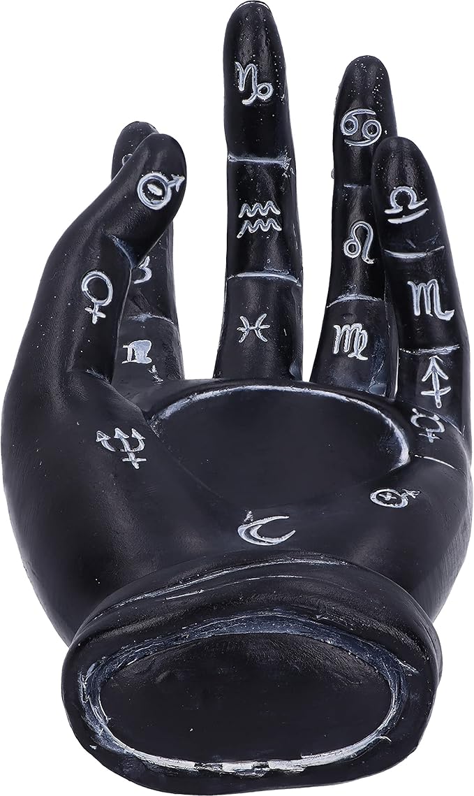 Palmist's Prediction (Black) 18.3cm