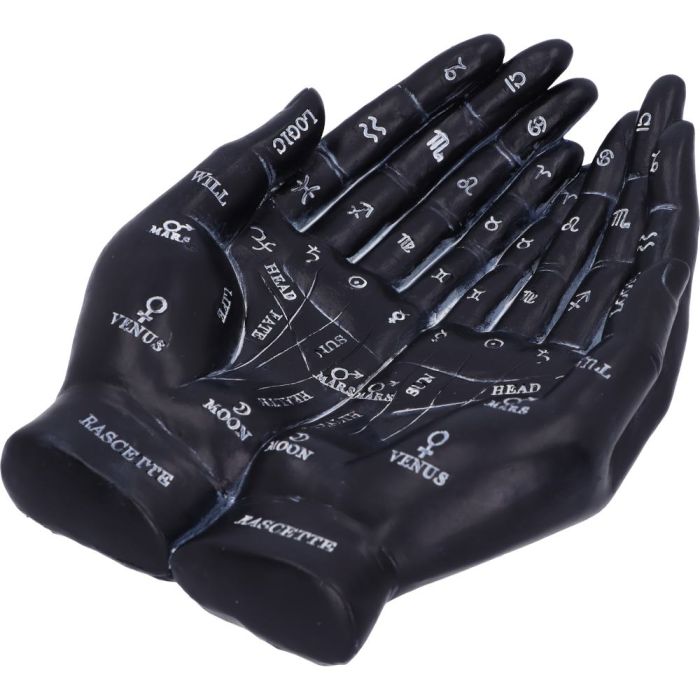 Guide du chiromancien (noir) 22,3 cm