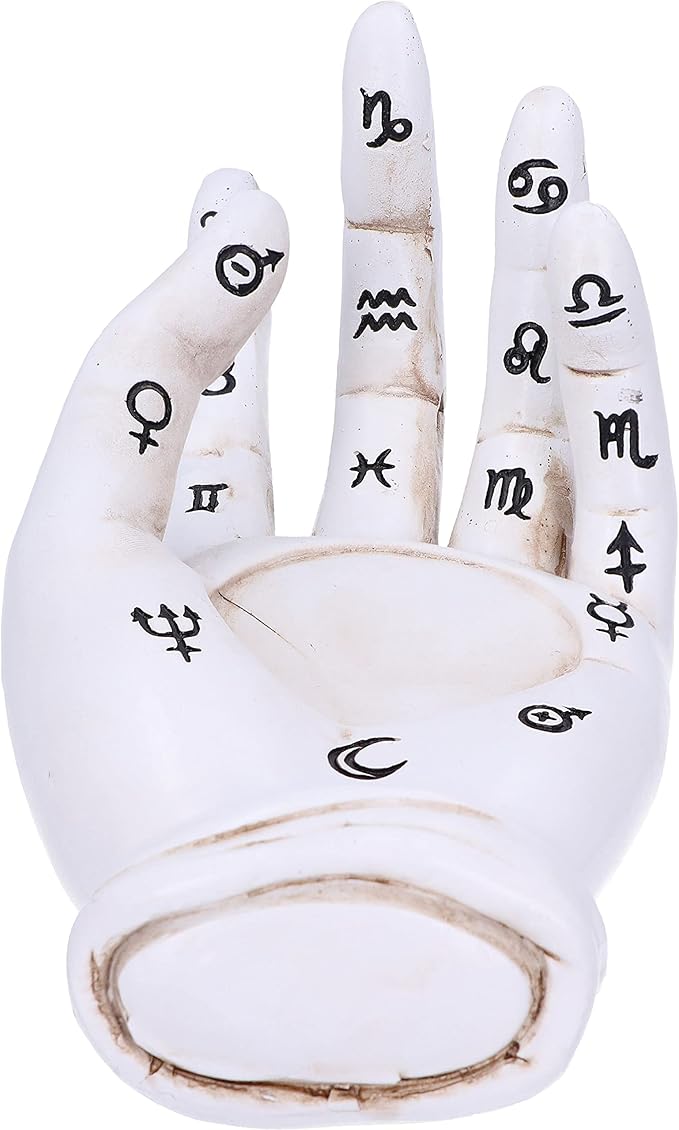 Palmist's Prediction (White) 18.3cm