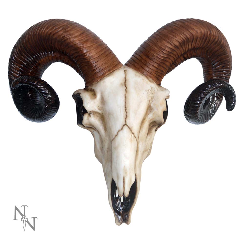 Realistic Wall Mounted Rams Skull 33cm
