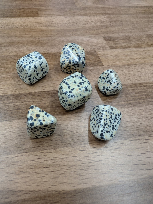 Dalmatian Jasper Tumble
